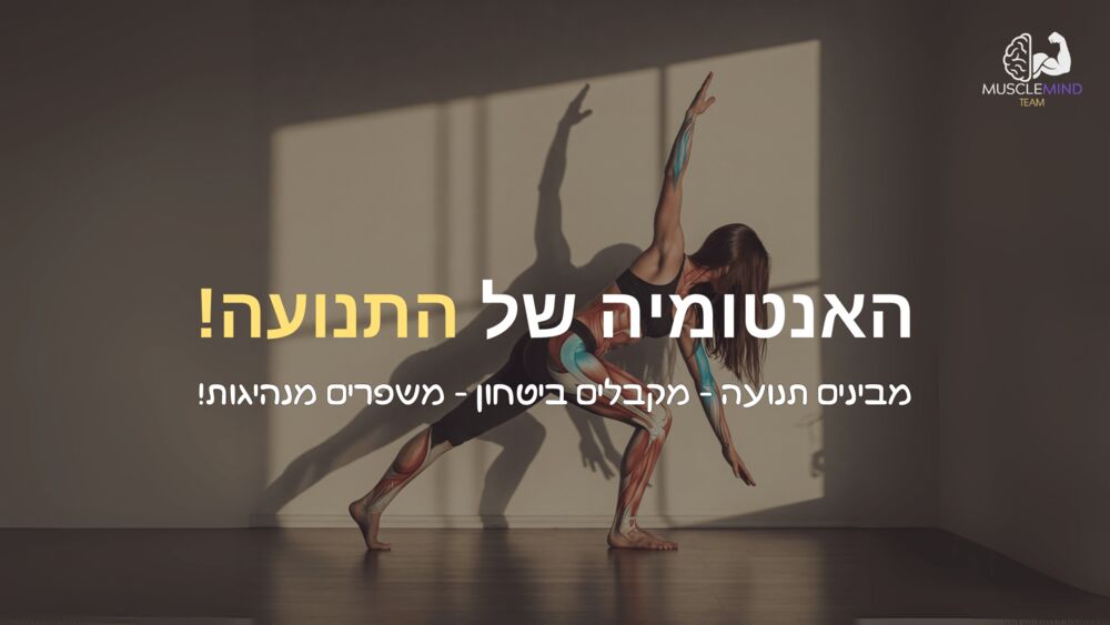 האנטומיה של התנועה - שער ההרצאה